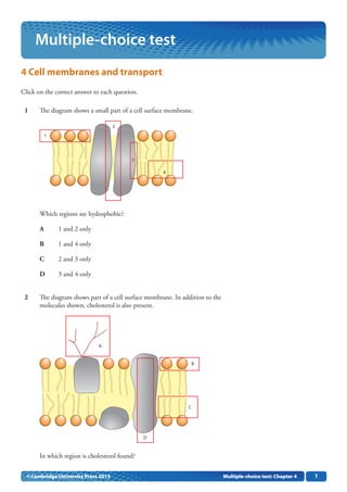 11
4 Cell membranes and transport
Click on the correct answer to each question.
	 1	 The diagram shows a small part of a cell surface membrane.
1
2
3
4
Which regions are hydrophobic?
	 A	 1 and 2 only
	 B	 1 and 4 only
	 C	 2 and 3 only
	 D	 3 and 4 only
	 2	 The diagram shows part of a cell surface membrane. In addition to the
molecules shown, cholesterol is also present.
D
C
B
A
In which region is cholesterol found?
Multiple-choice test
© Cambridge University Press 2013 Multiple-choice test: Chapter 4
 