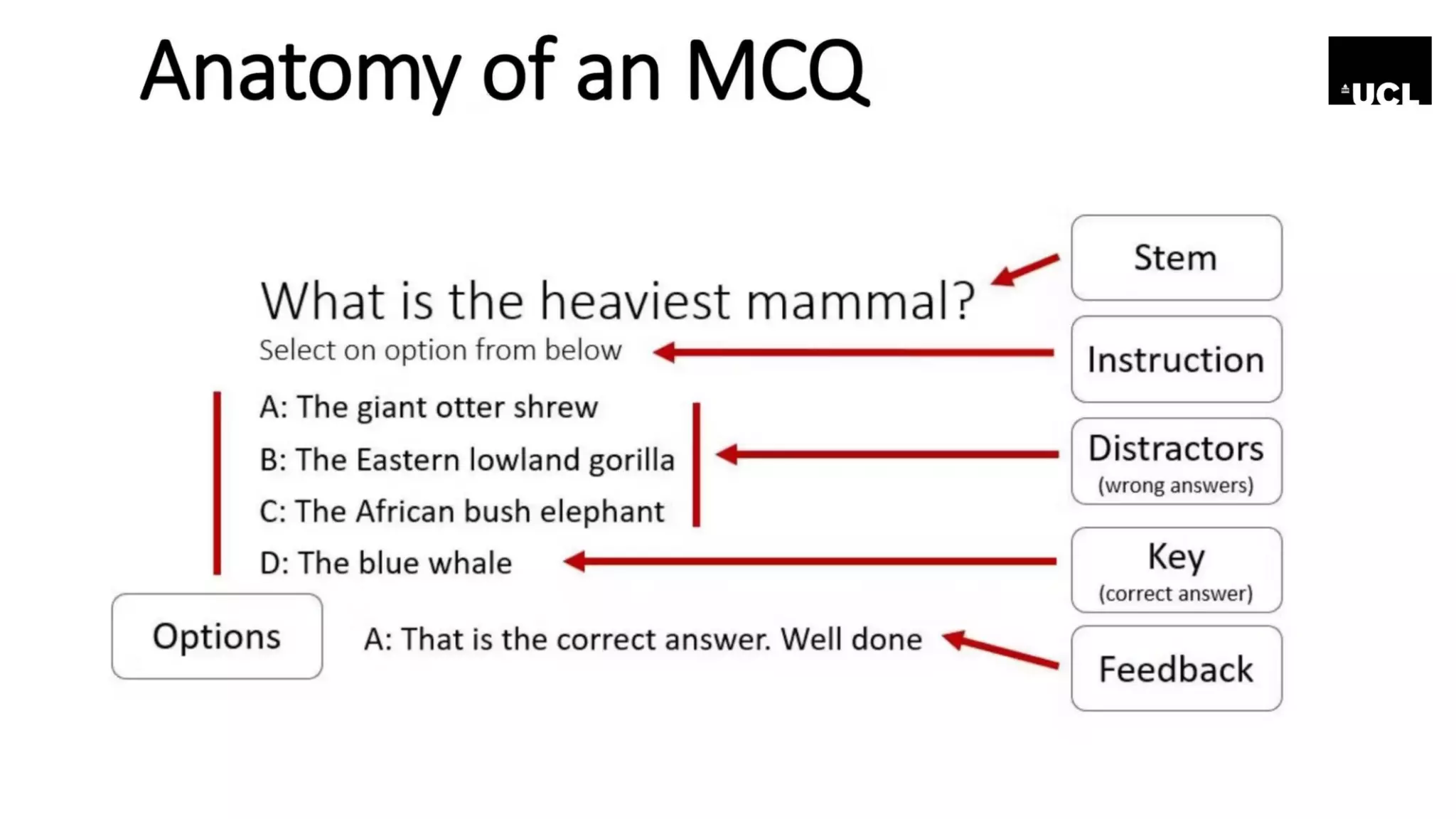 MCQs_ The joys of making your mind up.pdf