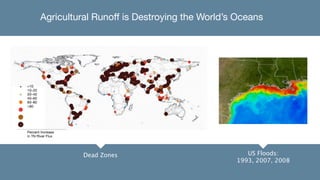 Agricultural Runoff is Destroying the World’s Oceans




<10
10–20
20–40
40–60
60–80
>80




Percent Increase
in TN River Flux




                   Dead Zones                           US Floods:
                                                     1993, 2007, 2008
 