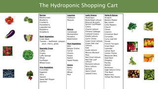 The Hydroponic Shopping Cart
        Berries                        Legumes           Leafy Greens           Herbs & Spices
        Blackcurrant                   Soybeans          Asparagus              Arugula
        Blueberry                      Peanuts           Butterhead Lettuce     Banana Pepper
        Cranberry                                        Broccoli Brussels      Bay Leaves
        Huckleberry                                      Sprout Cauliﬂower      Chile Peppers
        Loganberries                                     Celery                 Chervil
        Raspberry                      Melons
           Charita Lettuce        Chives
        Strawberry                     Cantaloupe        Chinese Cabbage        Cilantro
                                       Muskamelon        Collared Greens        Cinnamon Basil
        Bush Vegetables                Pumpkin,          Estelle Lettuce        Coriander
        Green Bean                     Watermelon        Garlic Chives          Curry Leaf Dill
        Tomato-- beefsteak, campari,                     Green Coral Lettuce,   Fennel
          plum, cherry, globe          Root Vegetables   Green Oak Leaf         French Tarragon
                                       Beet              Lettuce,               Green Basil
        Specialty Crops                Belgian Endive    Kale                   Lavender
        Coffee                         Carrot            Kuala Lettuce          Lemon Basil
        Grapes                         Onions            Mizuna Mustard         Lemon Thyme
        Luffa Sponge                   Potato            Peas                   Marjoram Mint
        Olives                         Radish            Red Coral Lettuce      Opal Basil
        Sunﬂower                       Sweet Potato      Red Oak Leaf           Oregano
                                                         Lettuce
        Wheat Grass                                                             Parsley
                                                         Romaine Lettuce
                                       Grains                                   Rocket
                                                         Roxy Lettuce,
        Vine Vegetables                Barley                                   Rosemary
                                                         Spinach
        Cucumber                       Corn,                                    Sage Sakura Cress
                                                         Swiss Chard
        Eggplant                       Wheat                                    Thai Basil
                                                         Upland Cress
        Okra                           Rice                                     Watercress
        Squash                                                                  Yellow Pea Shoots
Hydroponics
        Sweet Bell Pepper
        Zucchini
 