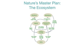 Nature’s Master Plan:
  The Ecosystem
 