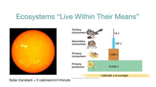 Ecosystems “Live Within Their Means”




Solar Constant = 2 calories/cm2/minute
 