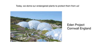 Today, we dome our endangered plants to protect them from us!




                                                 Eden Project
                                                 Cornwall England
 
