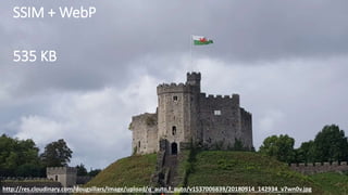 SSIM + WebP
535 KB
http://res.cloudinary.com/dougsillars/image/upload/q_auto,f_auto/v1537006839/20180914_142934_v7wn0v.jpg
 