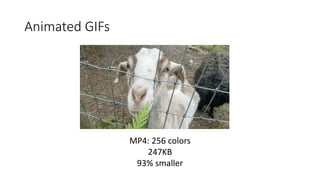 Animated GIFs
MP4: 256 colors
247KB
93% smaller
 