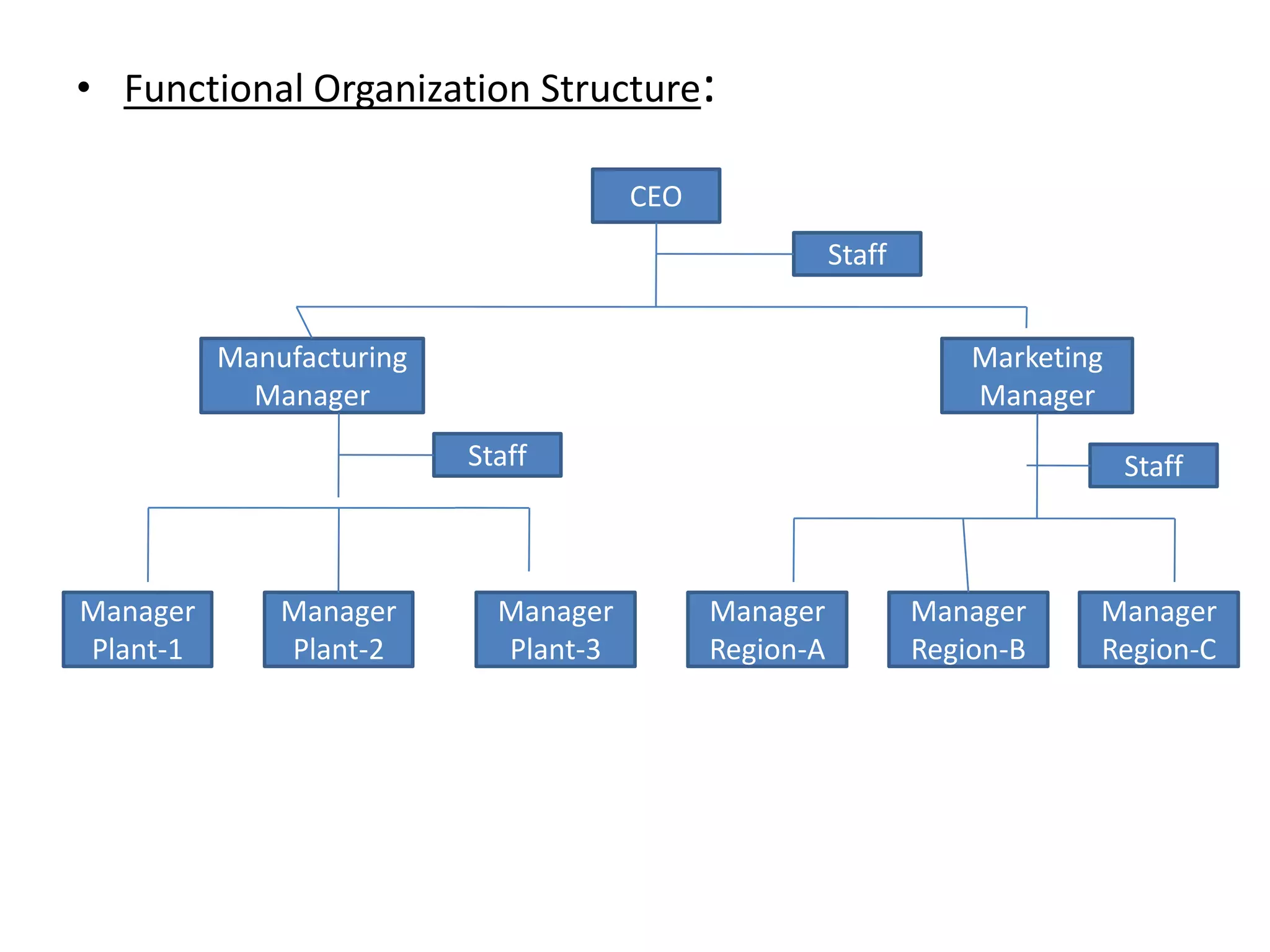 • Functional Organization Structure:

                                      CEO
                                                       Staff


          Manufacturing                                            Marketing
            Manager                                                Manager
                          Staff                                                Staff



Manager       Manager       Manager         Manager            Manager     Manager
Plant-1       Plant-2       Plant-3         Region-A           Region-B    Region-C
 