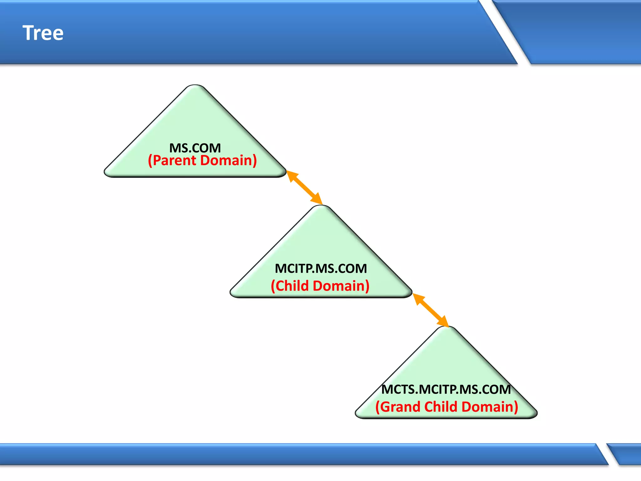 Tree
(Parent Domain)
(Child Domain)
(Grand Child Domain)
 