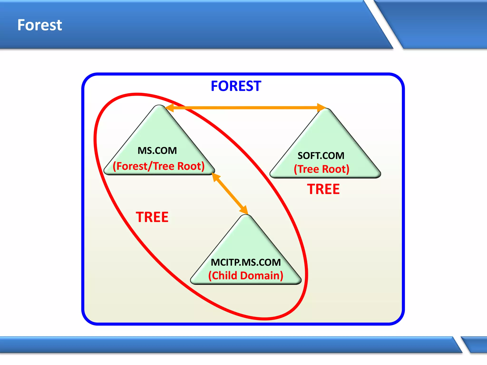 Forest
(Forest/Tree Root)
(Child Domain)
(Tree Root)
TREE
TREE
FOREST
 