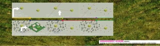 ARRANGEMENT SCHEME CONCEPT
dwellings are clustered in a grape-like structure | tree | communal oven | fountain | public facilities
 