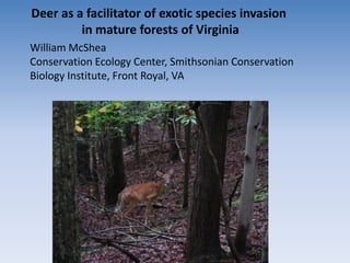 Deer as a facilitator of exotic species invasion
         in mature forests of Virginia
William McShea
Conservation Ecology Center, Smithsonian Conservation
Biology Institute, Front Royal, VA
 