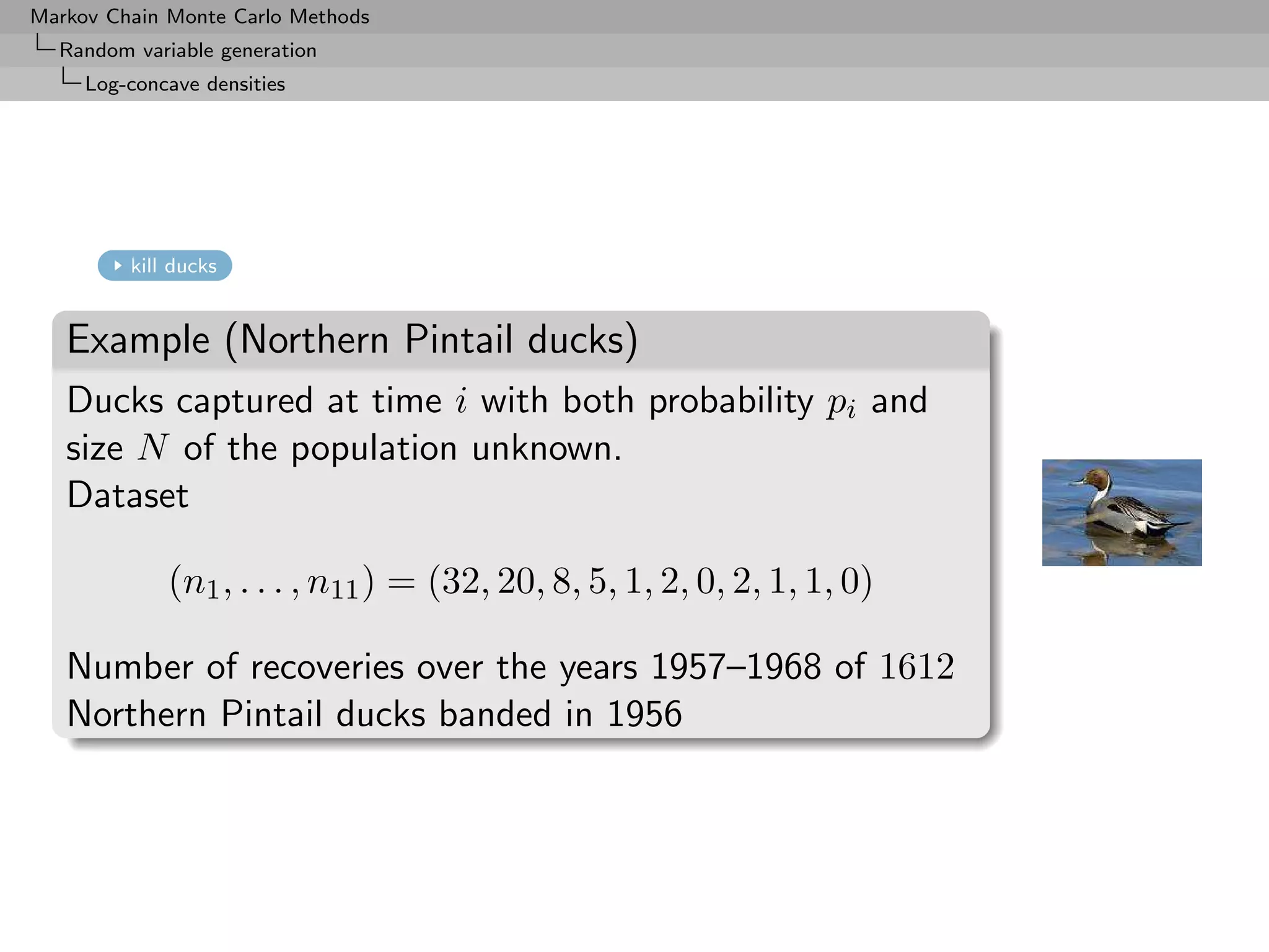 Markov Chain Monte Carlo Methods
  Random variable generation
     Log-concave densities




         kill ducks


   Example (Northern Pintail ducks)
   Ducks captured at time i with both probability pi and
   size N of the population unknown.
   Dataset

             (n1 , . . . , n11 ) = (32, 20, 8, 5, 1, 2, 0, 2, 1, 1, 0)

   Number of recoveries over the years 1957–1968 of 1612
   Northern Pintail ducks banded in 1956
 