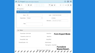 Form Expert Mode 
Form|Grid 
Master/Detail/.. 
 