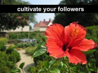 cultivate your followers
 
