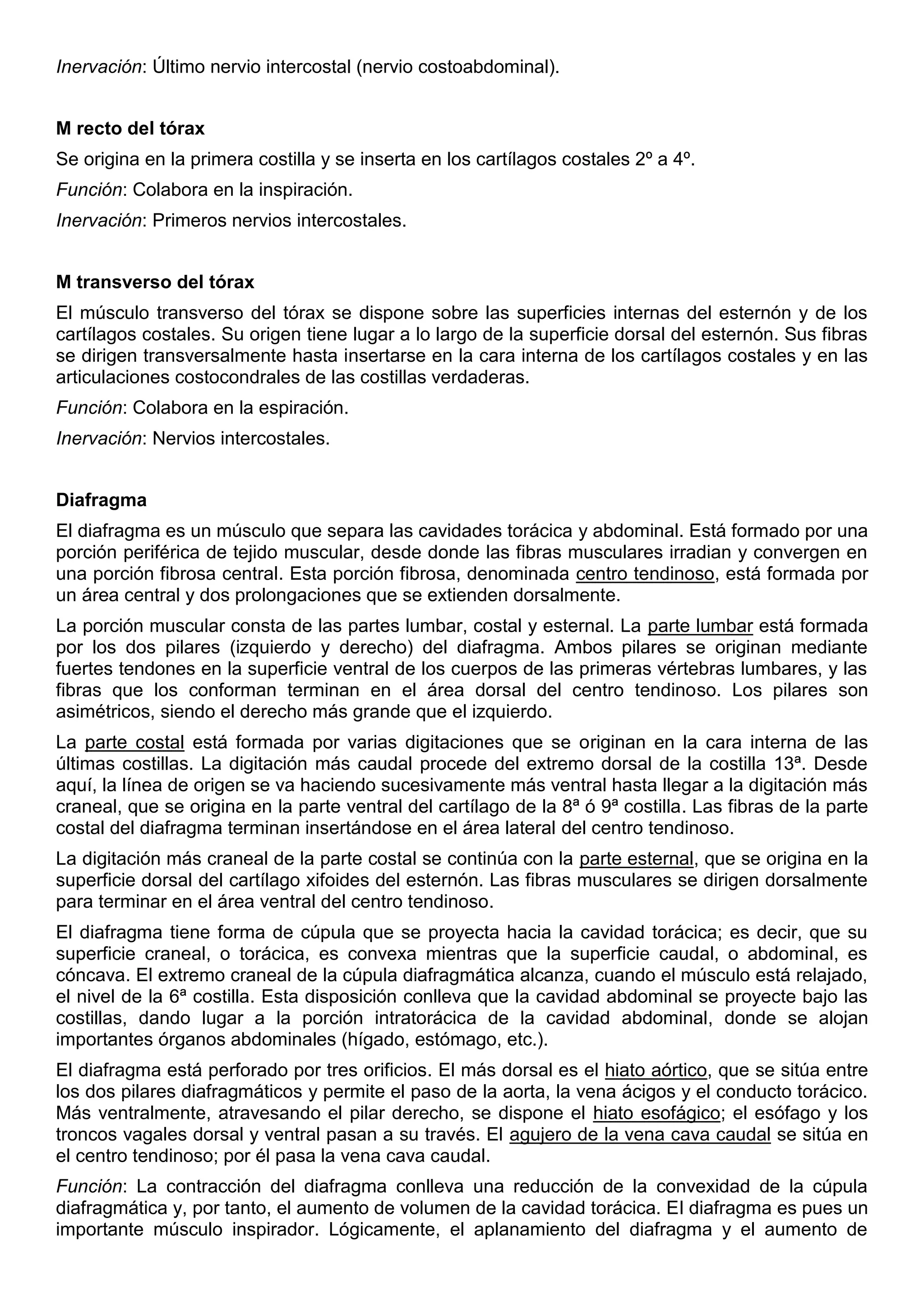 Inervación: Último nervio intercostal (nervio costoabdominal).
M recto del tórax
Se origina en la primera costilla y se inserta en los cartílagos costales 2º a 4º.
Función: Colabora en la inspiración.
Inervación: Primeros nervios intercostales.
M transverso del tórax
El músculo transverso del tórax se dispone sobre las superficies internas del esternón y de los
cartílagos costales. Su origen tiene lugar a lo largo de la superficie dorsal del esternón. Sus fibras
se dirigen transversalmente hasta insertarse en la cara interna de los cartílagos costales y en las
articulaciones costocondrales de las costillas verdaderas.
Función: Colabora en la espiración.
Inervación: Nervios intercostales.
Diafragma
El diafragma es un músculo que separa las cavidades torácica y abdominal. Está formado por una
porción periférica de tejido muscular, desde donde las fibras musculares irradian y convergen en
una porción fibrosa central. Esta porción fibrosa, denominada centro tendinoso, está formada por
un área central y dos prolongaciones que se extienden dorsalmente.
La porción muscular consta de las partes lumbar, costal y esternal. La parte lumbar está formada
por los dos pilares (izquierdo y derecho) del diafragma. Ambos pilares se originan mediante
fuertes tendones en la superficie ventral de los cuerpos de las primeras vértebras lumbares, y las
fibras que los conforman terminan en el área dorsal del centro tendinoso. Los pilares son
asimétricos, siendo el derecho más grande que el izquierdo.
La parte costal está formada por varias digitaciones que se originan en la cara interna de las
últimas costillas. La digitación más caudal procede del extremo dorsal de la costilla 13ª. Desde
aquí, la línea de origen se va haciendo sucesivamente más ventral hasta llegar a la digitación más
craneal, que se origina en la parte ventral del cartílago de la 8ª ó 9ª costilla. Las fibras de la parte
costal del diafragma terminan insertándose en el área lateral del centro tendinoso.
La digitación más craneal de la parte costal se continúa con la parte esternal, que se origina en la
superficie dorsal del cartílago xifoides del esternón. Las fibras musculares se dirigen dorsalmente
para terminar en el área ventral del centro tendinoso.
El diafragma tiene forma de cúpula que se proyecta hacia la cavidad torácica; es decir, que su
superficie craneal, o torácica, es convexa mientras que la superficie caudal, o abdominal, es
cóncava. El extremo craneal de la cúpula diafragmática alcanza, cuando el músculo está relajado,
el nivel de la 6ª costilla. Esta disposición conlleva que la cavidad abdominal se proyecte bajo las
costillas, dando lugar a la porción intratorácica de la cavidad abdominal, donde se alojan
importantes órganos abdominales (hígado, estómago, etc.).
El diafragma está perforado por tres orificios. El más dorsal es el hiato aórtico, que se sitúa entre
los dos pilares diafragmáticos y permite el paso de la aorta, la vena ácigos y el conducto torácico.
Más ventralmente, atravesando el pilar derecho, se dispone el hiato esofágico; el esófago y los
troncos vagales dorsal y ventral pasan a su través. El agujero de la vena cava caudal se sitúa en
el centro tendinoso; por él pasa la vena cava caudal.
Función: La contracción del diafragma conlleva una reducción de la convexidad de la cúpula
diafragmática y, por tanto, el aumento de volumen de la cavidad torácica. El diafragma es pues un
importante músculo inspirador. Lógicamente, el aplanamiento del diafragma y el aumento de
 