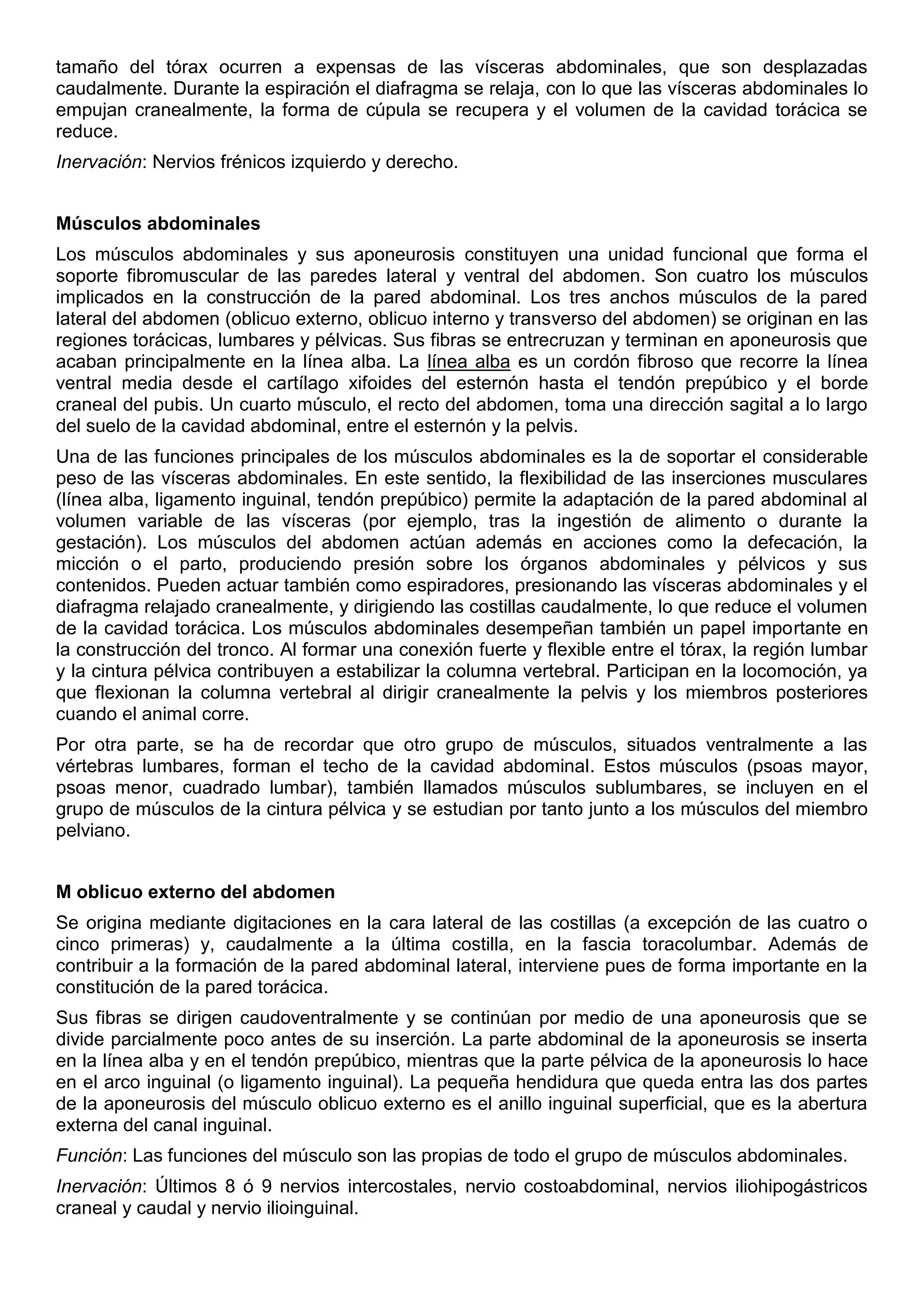 tamaño del tórax ocurren a expensas de las vísceras abdominales, que son desplazadas
caudalmente. Durante la espiración el diafragma se relaja, con lo que las vísceras abdominales lo
empujan cranealmente, la forma de cúpula se recupera y el volumen de la cavidad torácica se
reduce.
Inervación: Nervios frénicos izquierdo y derecho.
Músculos abdominales
Los músculos abdominales y sus aponeurosis constituyen una unidad funcional que forma el
soporte fibromuscular de las paredes lateral y ventral del abdomen. Son cuatro los músculos
implicados en la construcción de la pared abdominal. Los tres anchos músculos de la pared
lateral del abdomen (oblicuo externo, oblicuo interno y transverso del abdomen) se originan en las
regiones torácicas, lumbares y pélvicas. Sus fibras se entrecruzan y terminan en aponeurosis que
acaban principalmente en la línea alba. La línea alba es un cordón fibroso que recorre la línea
ventral media desde el cartílago xifoides del esternón hasta el tendón prepúbico y el borde
craneal del pubis. Un cuarto músculo, el recto del abdomen, toma una dirección sagital a lo largo
del suelo de la cavidad abdominal, entre el esternón y la pelvis.
Una de las funciones principales de los músculos abdominales es la de soportar el considerable
peso de las vísceras abdominales. En este sentido, la flexibilidad de las inserciones musculares
(línea alba, ligamento inguinal, tendón prepúbico) permite la adaptación de la pared abdominal al
volumen variable de las vísceras (por ejemplo, tras la ingestión de alimento o durante la
gestación). Los músculos del abdomen actúan además en acciones como la defecación, la
micción o el parto, produciendo presión sobre los órganos abdominales y pélvicos y sus
contenidos. Pueden actuar también como espiradores, presionando las vísceras abdominales y el
diafragma relajado cranealmente, y dirigiendo las costillas caudalmente, lo que reduce el volumen
de la cavidad torácica. Los músculos abdominales desempeñan también un papel importante en
la construcción del tronco. Al formar una conexión fuerte y flexible entre el tórax, la región lumbar
y la cintura pélvica contribuyen a estabilizar la columna vertebral. Participan en la locomoción, ya
que flexionan la columna vertebral al dirigir cranealmente la pelvis y los miembros posteriores
cuando el animal corre.
Por otra parte, se ha de recordar que otro grupo de músculos, situados ventralmente a las
vértebras lumbares, forman el techo de la cavidad abdominal. Estos músculos (psoas mayor,
psoas menor, cuadrado lumbar), también llamados músculos sublumbares, se incluyen en el
grupo de músculos de la cintura pélvica y se estudian por tanto junto a los músculos del miembro
pelviano.
M oblicuo externo del abdomen
Se origina mediante digitaciones en la cara lateral de las costillas (a excepción de las cuatro o
cinco primeras) y, caudalmente a la última costilla, en la fascia toracolumbar. Además de
contribuir a la formación de la pared abdominal lateral, interviene pues de forma importante en la
constitución de la pared torácica.
Sus fibras se dirigen caudoventralmente y se continúan por medio de una aponeurosis que se
divide parcialmente poco antes de su inserción. La parte abdominal de la aponeurosis se inserta
en la línea alba y en el tendón prepúbico, mientras que la parte pélvica de la aponeurosis lo hace
en el arco inguinal (o ligamento inguinal). La pequeña hendidura que queda entra las dos partes
de la aponeurosis del músculo oblicuo externo es el anillo inguinal superficial, que es la abertura
externa del canal inguinal.
Función: Las funciones del músculo son las propias de todo el grupo de músculos abdominales.
Inervación: Últimos 8 ó 9 nervios intercostales, nervio costoabdominal, nervios iliohipogástricos
craneal y caudal y nervio ilioinguinal.
 