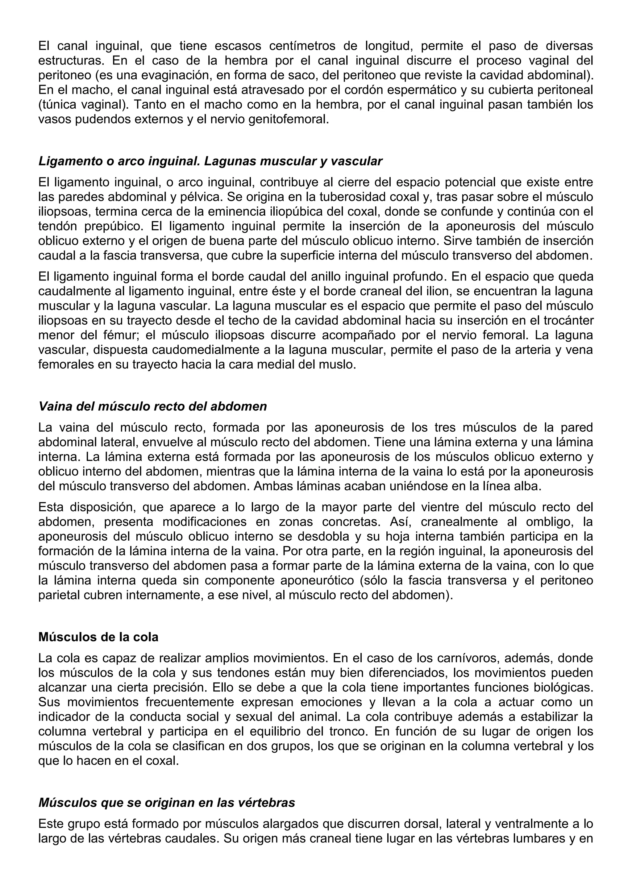 El canal inguinal, que tiene escasos centímetros de longitud, permite el paso de diversas
estructuras. En el caso de la hembra por el canal inguinal discurre el proceso vaginal del
peritoneo (es una evaginación, en forma de saco, del peritoneo que reviste la cavidad abdominal).
En el macho, el canal inguinal está atravesado por el cordón espermático y su cubierta peritoneal
(túnica vaginal). Tanto en el macho como en la hembra, por el canal inguinal pasan también los
vasos pudendos externos y el nervio genitofemoral.
Ligamento o arco inguinal. Lagunas muscular y vascular
El ligamento inguinal, o arco inguinal, contribuye al cierre del espacio potencial que existe entre
las paredes abdominal y pélvica. Se origina en la tuberosidad coxal y, tras pasar sobre el músculo
iliopsoas, termina cerca de la eminencia iliopúbica del coxal, donde se confunde y continúa con el
tendón prepúbico. El ligamento inguinal permite la inserción de la aponeurosis del músculo
oblicuo externo y el origen de buena parte del músculo oblicuo interno. Sirve también de inserción
caudal a la fascia transversa, que cubre la superficie interna del músculo transverso del abdomen.
El ligamento inguinal forma el borde caudal del anillo inguinal profundo. En el espacio que queda
caudalmente al ligamento inguinal, entre éste y el borde craneal del ilion, se encuentran la laguna
muscular y la laguna vascular. La laguna muscular es el espacio que permite el paso del músculo
iliopsoas en su trayecto desde el techo de la cavidad abdominal hacia su inserción en el trocánter
menor del fémur; el músculo iliopsoas discurre acompañado por el nervio femoral. La laguna
vascular, dispuesta caudomedialmente a la laguna muscular, permite el paso de la arteria y vena
femorales en su trayecto hacia la cara medial del muslo.
Vaina del músculo recto del abdomen
La vaina del músculo recto, formada por las aponeurosis de los tres músculos de la pared
abdominal lateral, envuelve al músculo recto del abdomen. Tiene una lámina externa y una lámina
interna. La lámina externa está formada por las aponeurosis de los músculos oblicuo externo y
oblicuo interno del abdomen, mientras que la lámina interna de la vaina lo está por la aponeurosis
del músculo transverso del abdomen. Ambas láminas acaban uniéndose en la línea alba.
Esta disposición, que aparece a lo largo de la mayor parte del vientre del músculo recto del
abdomen, presenta modificaciones en zonas concretas. Así, cranealmente al ombligo, la
aponeurosis del músculo oblicuo interno se desdobla y su hoja interna también participa en la
formación de la lámina interna de la vaina. Por otra parte, en la región inguinal, la aponeurosis del
músculo transverso del abdomen pasa a formar parte de la lámina externa de la vaina, con lo que
la lámina interna queda sin componente aponeurótico (sólo la fascia transversa y el peritoneo
parietal cubren internamente, a ese nivel, al músculo recto del abdomen).
Músculos de la cola
La cola es capaz de realizar amplios movimientos. En el caso de los carnívoros, además, donde
los músculos de la cola y sus tendones están muy bien diferenciados, los movimientos pueden
alcanzar una cierta precisión. Ello se debe a que la cola tiene importantes funciones biológicas.
Sus movimientos frecuentemente expresan emociones y llevan a la cola a actuar como un
indicador de la conducta social y sexual del animal. La cola contribuye además a estabilizar la
columna vertebral y participa en el equilibrio del tronco. En función de su lugar de origen los
músculos de la cola se clasifican en dos grupos, los que se originan en la columna vertebral y los
que lo hacen en el coxal.
Músculos que se originan en las vértebras
Este grupo está formado por músculos alargados que discurren dorsal, lateral y ventralmente a lo
largo de las vértebras caudales. Su origen más craneal tiene lugar en las vértebras lumbares y en
 