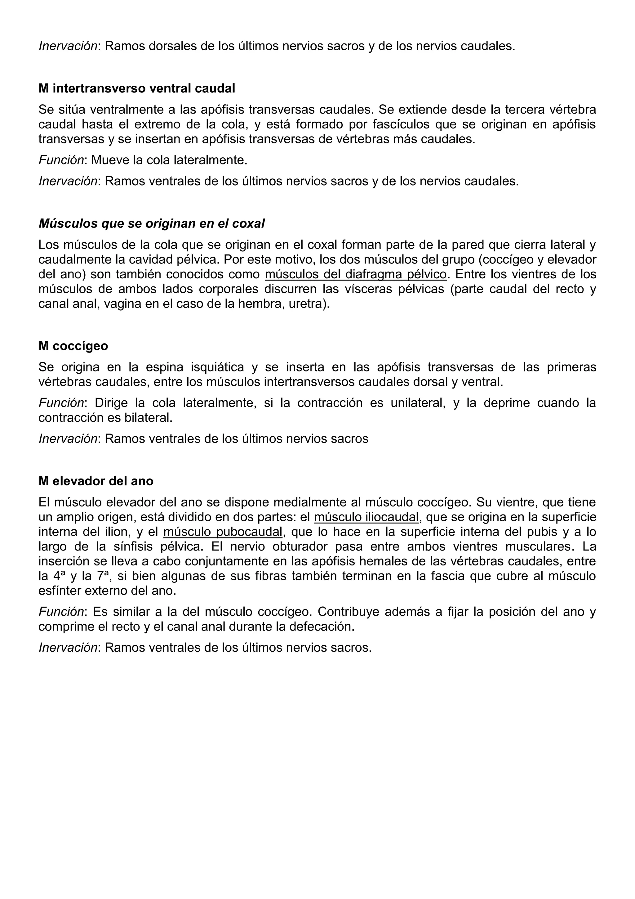 Inervación: Ramos dorsales de los últimos nervios sacros y de los nervios caudales.
M intertransverso ventral caudal
Se sitúa ventralmente a las apófisis transversas caudales. Se extiende desde la tercera vértebra
caudal hasta el extremo de la cola, y está formado por fascículos que se originan en apófisis
transversas y se insertan en apófisis transversas de vértebras más caudales.
Función: Mueve la cola lateralmente.
Inervación: Ramos ventrales de los últimos nervios sacros y de los nervios caudales.
Músculos que se originan en el coxal
Los músculos de la cola que se originan en el coxal forman parte de la pared que cierra lateral y
caudalmente la cavidad pélvica. Por este motivo, los dos músculos del grupo (coccígeo y elevador
del ano) son también conocidos como músculos del diafragma pélvico. Entre los vientres de los
músculos de ambos lados corporales discurren las vísceras pélvicas (parte caudal del recto y
canal anal, vagina en el caso de la hembra, uretra).
M coccígeo
Se origina en la espina isquiática y se inserta en las apófisis transversas de las primeras
vértebras caudales, entre los músculos intertransversos caudales dorsal y ventral.
Función: Dirige la cola lateralmente, si la contracción es unilateral, y la deprime cuando la
contracción es bilateral.
Inervación: Ramos ventrales de los últimos nervios sacros
M elevador del ano
El músculo elevador del ano se dispone medialmente al músculo coccígeo. Su vientre, que tiene
un amplio origen, está dividido en dos partes: el músculo iliocaudal, que se origina en la superficie
interna del ilion, y el músculo pubocaudal, que lo hace en la superficie interna del pubis y a lo
largo de la sínfisis pélvica. El nervio obturador pasa entre ambos vientres musculares. La
inserción se lleva a cabo conjuntamente en las apófisis hemales de las vértebras caudales, entre
la 4ª y la 7ª, si bien algunas de sus fibras también terminan en la fascia que cubre al músculo
esfínter externo del ano.
Función: Es similar a la del músculo coccígeo. Contribuye además a fijar la posición del ano y
comprime el recto y el canal anal durante la defecación.
Inervación: Ramos ventrales de los últimos nervios sacros.
 
