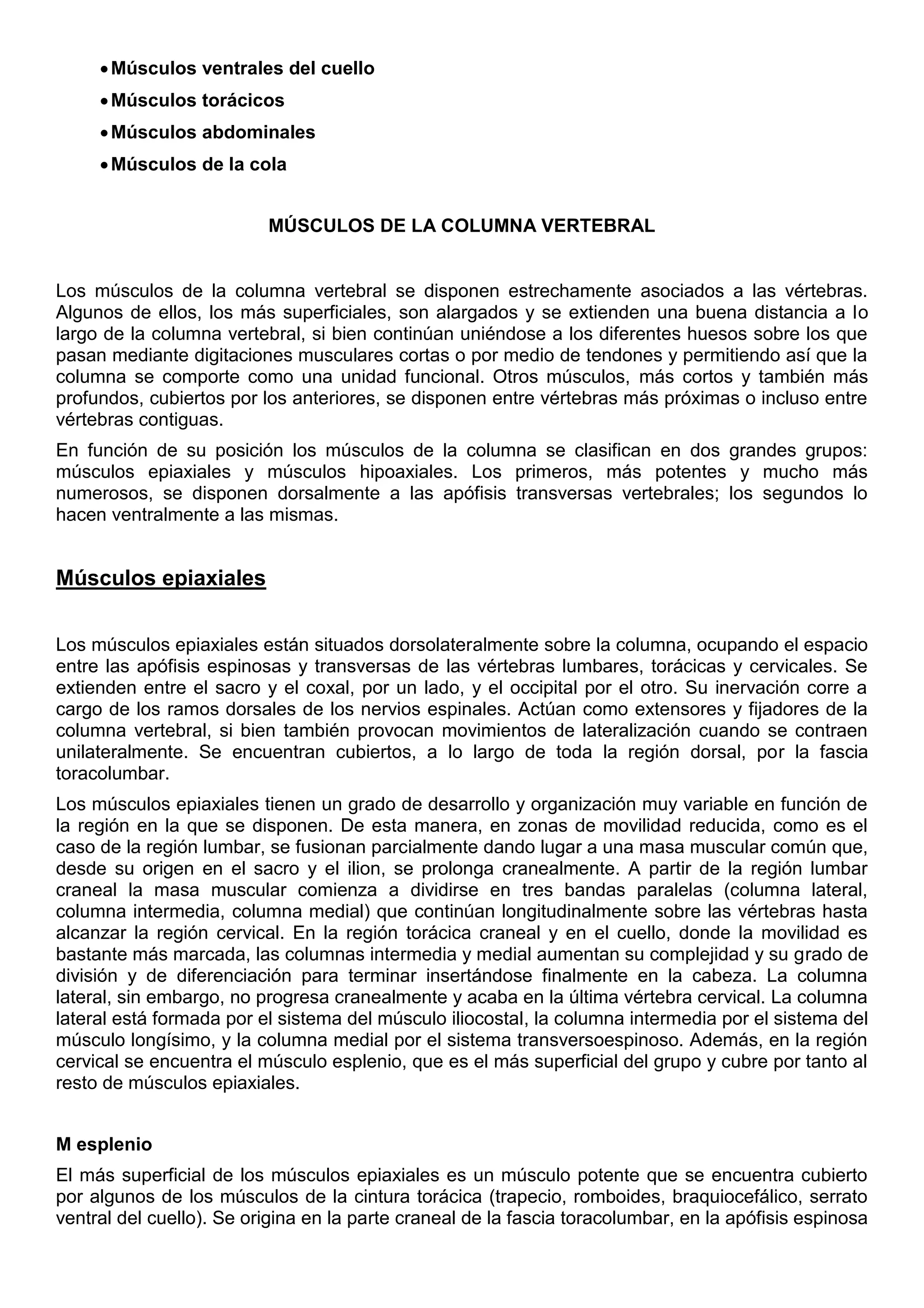 Músculos ventrales del cuello
Músculos torácicos
Músculos abdominales
Músculos de la cola
MÚSCULOS DE LA COLUMNA VERTEBRAL
Los músculos de la columna vertebral se disponen estrechamente asociados a las vértebras.
Algunos de ellos, los más superficiales, son alargados y se extienden una buena distancia a lo
largo de la columna vertebral, si bien continúan uniéndose a los diferentes huesos sobre los que
pasan mediante digitaciones musculares cortas o por medio de tendones y permitiendo así que la
columna se comporte como una unidad funcional. Otros músculos, más cortos y también más
profundos, cubiertos por los anteriores, se disponen entre vértebras más próximas o incluso entre
vértebras contiguas.
En función de su posición los músculos de la columna se clasifican en dos grandes grupos:
músculos epiaxiales y músculos hipoaxiales. Los primeros, más potentes y mucho más
numerosos, se disponen dorsalmente a las apófisis transversas vertebrales; los segundos lo
hacen ventralmente a las mismas.
Músculos epiaxiales
Los músculos epiaxiales están situados dorsolateralmente sobre la columna, ocupando el espacio
entre las apófisis espinosas y transversas de las vértebras lumbares, torácicas y cervicales. Se
extienden entre el sacro y el coxal, por un lado, y el occipital por el otro. Su inervación corre a
cargo de los ramos dorsales de los nervios espinales. Actúan como extensores y fijadores de la
columna vertebral, si bien también provocan movimientos de lateralización cuando se contraen
unilateralmente. Se encuentran cubiertos, a lo largo de toda la región dorsal, por la fascia
toracolumbar.
Los músculos epiaxiales tienen un grado de desarrollo y organización muy variable en función de
la región en la que se disponen. De esta manera, en zonas de movilidad reducida, como es el
caso de la región lumbar, se fusionan parcialmente dando lugar a una masa muscular común que,
desde su origen en el sacro y el ilion, se prolonga cranealmente. A partir de la región lumbar
craneal la masa muscular comienza a dividirse en tres bandas paralelas (columna lateral,
columna intermedia, columna medial) que continúan longitudinalmente sobre las vértebras hasta
alcanzar la región cervical. En la región torácica craneal y en el cuello, donde la movilidad es
bastante más marcada, las columnas intermedia y medial aumentan su complejidad y su grado de
división y de diferenciación para terminar insertándose finalmente en la cabeza. La columna
lateral, sin embargo, no progresa cranealmente y acaba en la última vértebra cervical. La columna
lateral está formada por el sistema del músculo iliocostal, la columna intermedia por el sistema del
músculo longísimo, y la columna medial por el sistema transversoespinoso. Además, en la región
cervical se encuentra el músculo esplenio, que es el más superficial del grupo y cubre por tanto al
resto de músculos epiaxiales.
M esplenio
El más superficial de los músculos epiaxiales es un músculo potente que se encuentra cubierto
por algunos de los músculos de la cintura torácica (trapecio, romboides, braquiocefálico, serrato
ventral del cuello). Se origina en la parte craneal de la fascia toracolumbar, en la apófisis espinosa
 