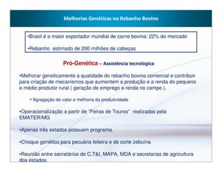 Melhorias Genéticas no Rebanho Bovino


   •Brasil é o maior exportador mundial de carne bovina: 22% do mercado

   •Rebanho estimado de 200 milhões de cabeças

                    Pró-Genética – Assistência tecnológica

•Melhorar geneticamente a qualidade do rebanho bovino comercial e contribuir
para criação de mecanismos que aumentem a produção e a renda do pequeno
e médio produtor rural ( geração de emprego e renda no campo ).

      Agregação de valor e melhoria da produtividade

•Operacionalização a partir de “Feiras de Touros” realizadas pela
EMATER/MG

•Apenas três estados possuem programa.

•Choque genético para pecuária leiteira e de corte zebuína

•Reunião entre secretários de C,T&I, MAPA, MDA e secretarias de agricultura
dos estados.
 