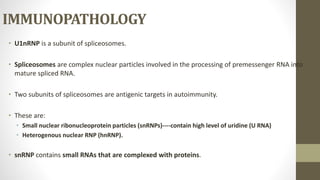 IMMUNOPATHOLOGY
• U1nRNP is a subunit of spliceosomes.
• Spliceosomes are complex nuclear particles involved in the processing of premessenger RNA into
mature spliced RNA.
• Two subunits of spliceosomes are antigenic targets in autoimmunity.
• These are:
• Small nuclear ribonucleoprotein particles (snRNPs)----contain high level of uridine (U RNA)
• Heterogenous nuclear RNP (hnRNP).
• snRNP contains small RNAs that are complexed with proteins.
 