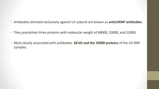 • Antibodies directed exclusively against U1 subunit are known as antiU1RNP antibodies.
• They precipitate three proteins with molecular weight of 68000, 33000, and 22000.
• Most closely associated with antibodies 68 kD and the 33000 proteins of the U1 RNP
complex.
 
