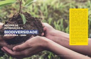 SISTEMA DE
INFORMAÇÃO A
BIODIVERSIDADE
BRASILEIRA - SiBBr
O Ministério fomentou a criação
do Sistema de Informação sobre a
Biodiversidade Brasileira, chamado
de SiBBr. O SiBBr é um sistema
computacional desenvolvido pelo
MCTIC, cujo objetivo é organizar
e disponibilizar para a sociedade
brasileira dados e informações sobre
a biodiversidade e os ecossistemas
brasileiros. O sistema oferece dados
brutos e informações de valor agregado,
ferramentas e aplicações de análise e de
interpretação de dados, funcionando,
portanto, como uma plataforma de
impulso ao desenvolvimento científico.
Os dados e informações do SiBBr estão
sendo organizadas também de forma
a impulsionar o uso do conhecimento
científico nas políticas públicas e está,
por isso, alinhado com as demandas
do setor governamental. O sistema já
está funcionando na web e conta já com
mais de 14 milhões de registros com
incrementos anuais de praticamente
15% ao ano!
89 AÇÕES MCTIC 90MINISTÉRIO DA CIÊNCIA, TECNOLOGIA, INOVAÇÕES E COMUNICAÇÕES
 