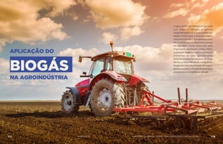 APLICAÇÃO DO
BIOGÁS
NA AGROINDÚSTRIA
Projeto de R$ 160 milhões em parceria
com Itaipu e CIBiogás. A agência
implementadora é a Organização das
Nações Unidas para o Desenvolvimento
Industrial(ONUDI),e,dototalderecursos,
R$ 23 milhões são do Global Environment
Facility (GEF), fundo financiado pela
Organização das Nações Unidas (ONU).
O principal objetivo é reduzir os passivos
ambientais do setor agroindustrial,
incluindo as emissões de gases de efeito
estufa, e a dependência de combustíveis
fósseis,pormeiodaproduçãodebiogáse
biometano,paraautilizaçãoemprocessos
produtivos e na mobilidade veicular.
117 AÇÕES MCTIC 118MINISTÉRIO DA CIÊNCIA, TECNOLOGIA, INOVAÇÕES E COMUNICAÇÕES
 