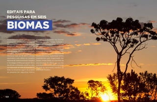 EDITAIS PARA
PESQUISAS EM SEIS
BIOMAS
Foram lançados editais para pesquisas
envolvendo seis biomas brasileiros
(Amazônia, Caatinga, Cerrado, Pampas,
Pantanal e Mata Atlântica), além de
duas chamadas públicas voltadas à
popularização, divulgação e educação
científica. Os recursos integram um
montante total de R$ 25,75 milhões,
destinados a seis editais do Conselho
Nacional de Desenvolvimento Científico
e Tecnológico (CNPq) que apoiam feiras
de ciências e olimpíadas científicas, além
da implantação de redes de inventário da
biota na Amazônia Legal e de projetos
de pesquisa em segurança hídrica,
energética e alimentar nos biomas
Caatinga, Cerrado, Pampas, Pantanal e
Mata Atlântica. Quatro desses editais são
voltados a biomas e baías e remetem à
Estratégia Nacional de Ciência, Tecnologia
e Inovação (Encti), válida de 2016 a 2022,
e à Agenda 2030 e seus 17 Objetivos de
Desenvolvimento Sustentável (ODS),
estabelecidos pela Organização das
Nações Unidas (ONU). As chamadas de
popularização da ciência, por sua vez,
contribuem diretamente para o aumento
do nível do letramento científico da
população brasileira.
AÇÕES MCTIC123 124MINISTÉRIO DA CIÊNCIA, TECNOLOGIA, INOVAÇÕES E COMUNICAÇÕES
 