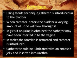 Cystourethrogram Technique Comprehensive Guide to Micturating Cystourethrogram (VCUG) Procedure ...