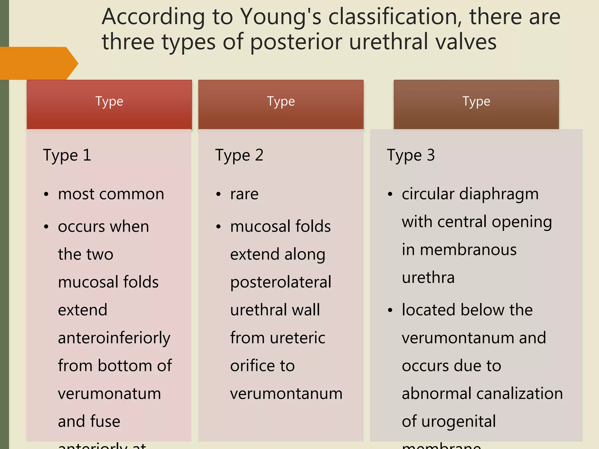 According to Young's classification, there are
three types of posterior urethral valves
Type
Type 1
• most common
• occurs when
the two
mucosal folds
extend
anteroinferiorly
from bottom of
verumonatum
and fuse
Type
Type 2
• rare
• mucosal folds
extend along
posterolateral
urethral wall
from ureteric
orifice to
verumontanum
Type
Type 3
• circular diaphragm
with central opening
in membranous
urethra
• located below the
verumontanum and
occurs due to
abnormal canalization
of urogenital
 