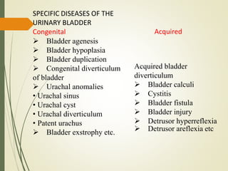 SPECIFIC DISEASES OF THE
URINARY BLADDER
Congenital
 Bladder agenesis
 Bladder hypoplasia
 Bladder duplication
 Congenital diverticulum
of bladder
 Urachal anomalies
• Urachal sinus
• Urachal cyst
• Urachal diverticulum
• Patent urachus
 Bladder exstrophy etc.
Acquired bladder
diverticulum
 Bladder calculi
 Cystitis
 Bladder fistula
 Bladder injury
 Detrusor hyperreflexia
 Detrusor areflexia etc
Acquired
 