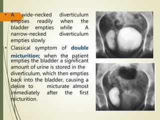 • A wide-necked diverticulum
empties readily when the
bladder empties while A
narrow-necked diverticulum
empties slowly
• Classical symptom of double
micturition; when the patient
empties the bladder a significant
amount of urine is stored in the
diverticulum, which then empties
back into the bladder, causing a
desire to micturate almost
immediately after the first
micturition.
 