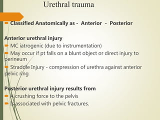 Urethral trauma
 Classified Anatomically as - Anterior - Posterior
Anterior urethral injury
 MC iatrogenic (due to instrumentation)
 May occur if pt falls on a blunt object or direct injury to
perineum
 Straddle Injury - compression of urethra against anterior
pelvic ring
Posterior urethral injury results from
 A crushing force to the pelvis
 Is associated with pelvic fractures.
 