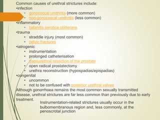 Common causes of urethral strictures include:
•infection
• gonococcal urethritis (more common)
• non-gonoccocal urethritis (less common)
•inflammatory
• balanitis xerotica obliterans
•trauma
• straddle injury (most common)
• pelvic fractures
•iatrogenic
• instrumentation
• prolonged catheterisation
• transurethral resection of the prostate
• open radical prostatectomy
• urethra reconstruction (hypospadias/epispadias)
•congenital
• uncommon
• not to be confused with posterior urethral valves
Although gonorrhoea remains the most common sexually transmitted
disease, urethral strictures are far less common than previously due to early
treatment.
Instrumentation-related strictures usually occur in the
bulbomembranous region and, less commonly, at the
penoscrotal junction
 