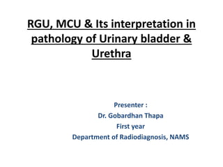 RGU, MCU & Its interpretation in
pathology of Urinary bladder &
Urethra
Presenter :
Dr. Gobardhan Thapa
First year
Department of Radiodiagnosis, NAMS
 