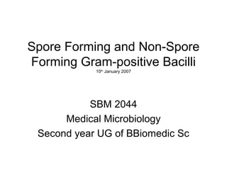 Spore Forming and Non-Spore
Forming Gram-positive Bacilli
10th
January 2007
SBM 2044
Medical Microbiology
Second year UG of BBiomedic Sc
 