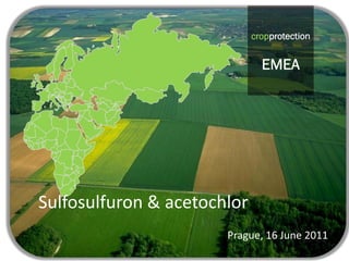 cropprotection
                                      EMEA
                             cropprotection


                               EMEA




Sulfosulfuron & acetochlor
                       Prague, 16 June 2011
 