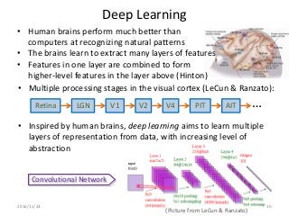 • Multiple processing stages in the visual cortex (LeCun & Ranzato):
• Inspired by human brains, deep learning aims to lea...