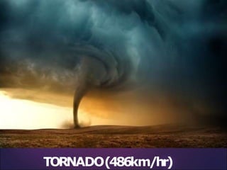 TORNADO(486km/hr)
 