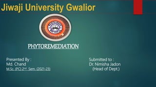 PHYTOREMEDIATION
Presented By :
Md. Chand
M.Sc. (PC) 2nd Sem. (2021-23)
Submitted to :
Dr. Nimisha Jadon
(Head of Dept.)
Jiwaji University Gwalior
 