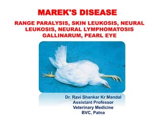 MAREK'S DISEASE
RANGE PARALYSIS, SKIN LEUKOSIS, NEURAL
LEUKOSIS, NEURAL LYMPHOMATOSIS
GALLINARUM, PEARL EYE
Dr. Ravi Shankar Kr Mandal
Assistant Professor
Veterinary Medicine
BVC, Patna
 