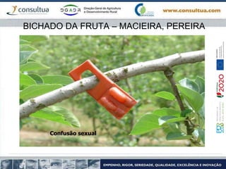 BICHADO DA FRUTA – MACIEIRA, PEREIRA
Confusão sexual
 