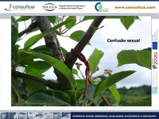 Confusão sexual
 