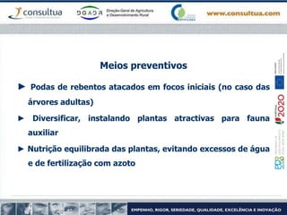 Meios preventivos
► Podas de rebentos atacados em focos iniciais (no caso das
árvores adultas)
► Diversificar, instalando plantas atractivas para fauna
auxiliar
► Nutrição equilibrada das plantas, evitando excessos de água
e de fertilização com azoto
 