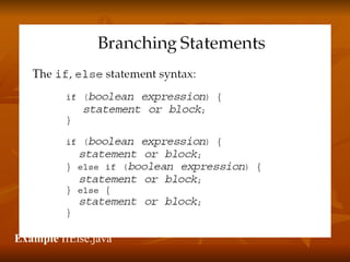 Example  IfElse.java 