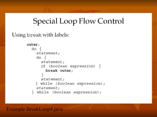 Example BreakLoop4.java 