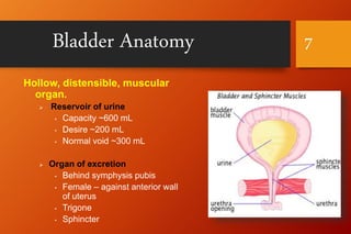 Distensible Bladder Stress Urinary Incontinence | PPTX