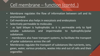 Click to edit Master title style
12
Cell membrane – function (contd..)
12
• Membrane regulates the flow of information between cell and its
environment
• Cell membrane also helps in exocytosis and endocytosis
• Selectively permeable to molecules
• - as lipid bilayer is hydrophobic so it is permeable only to lipid
soluble substances and impermeable to hydrophilic/polar
substances
• - membranes also have transport systems, to facilitate the transport
of polar substances across the cell
• Membranes regulate the transport of substances like nutrients, ions,
gases, water, various products, wastes into and out of cells and their
organelles
 