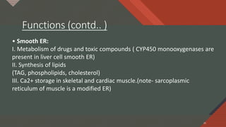 Click to edit Master title style
21
Functions (contd.. )
21
• Smooth ER:
I. Metabolism of drugs and toxic compounds ( CYP450 monooxygenases are
present in liver cell smooth ER)
II. Synthesis of lipids
(TAG, phospholipids, cholesterol)
III. Ca2+ storage in skeletal and cardiac muscle.(note- sarcoplasmic
reticulum of muscle is a modified ER)
 