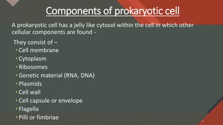 Click to edit Master title style
6
Components of prokaryotic cell
A prokaryotic cell has a jelly like cytosol within the cell in which other
cellular components are found -
They consist of –
• Cell membrane
• Cytoplasm
• Ribosomes
• Genetic material (RNA, DNA)
• Plasmids
• Cell wall
• Cell capsule or envelope
• Flagella
• Pilli or fimbriae 6
 
